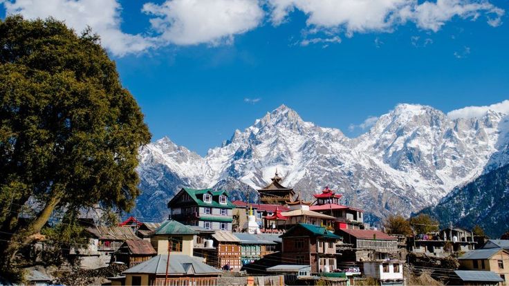Auli