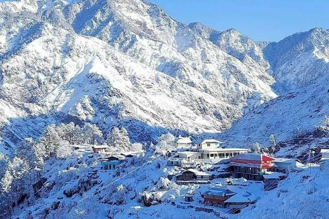 Snow-Covered Deodar Forest