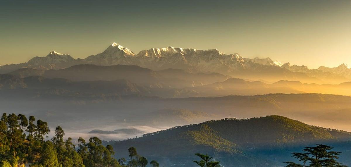 Himalayan Sunrice